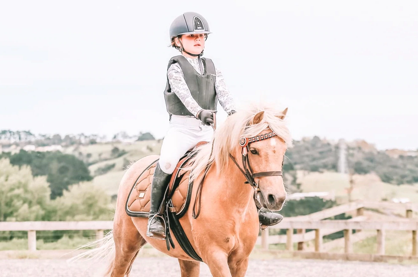 Fabulous Reads For Children Who Love Ponies Saddle Canter fabulous-reads-for-children-who-love-ponies-saddle-canter