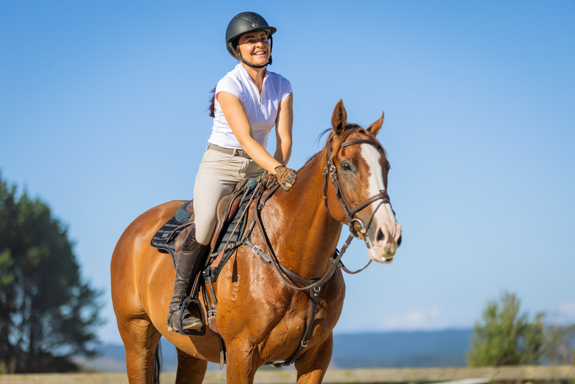 Equine attire shop