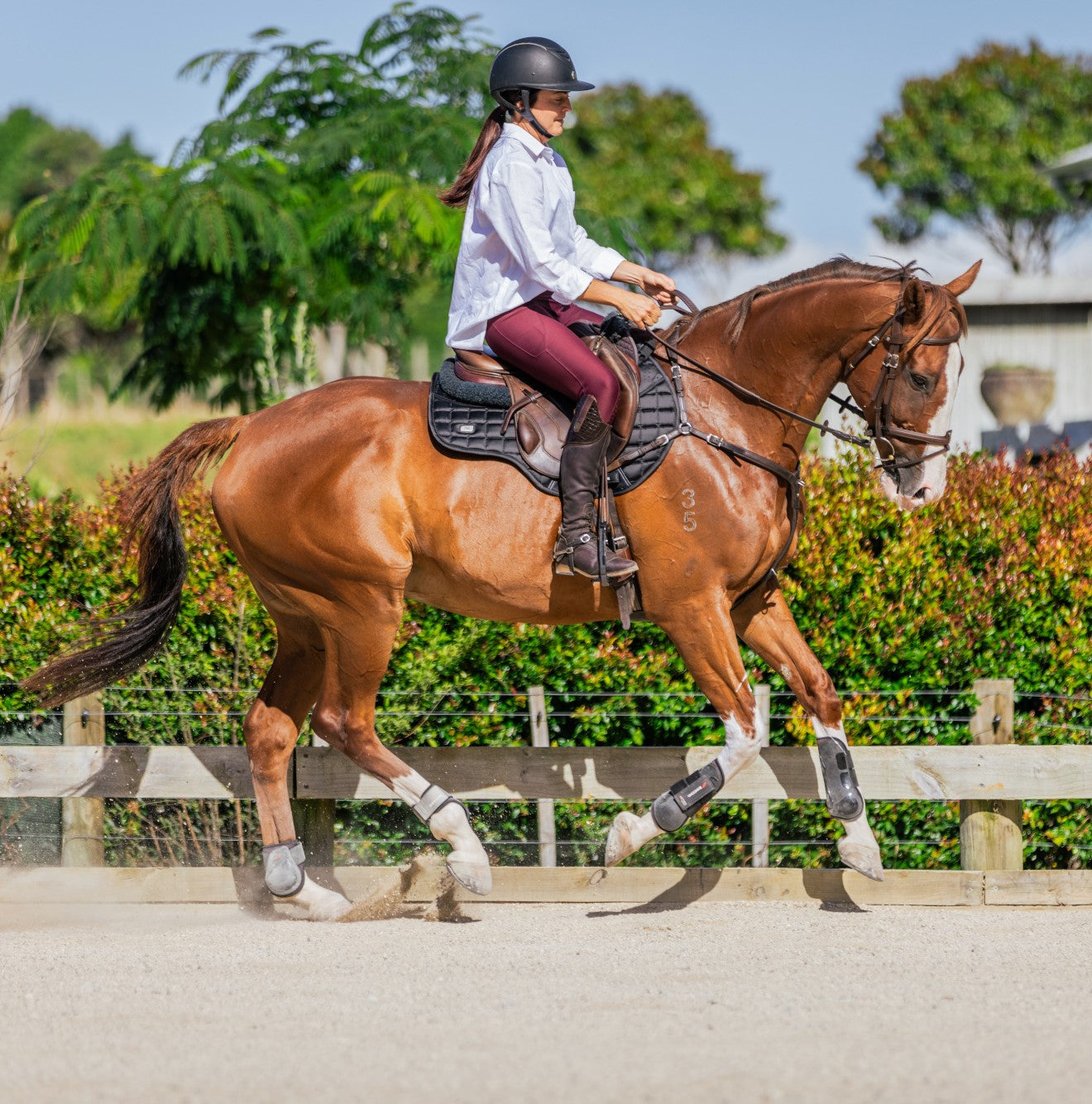 Equestrian stuff for clearance sale